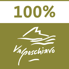 logo 100x100vp